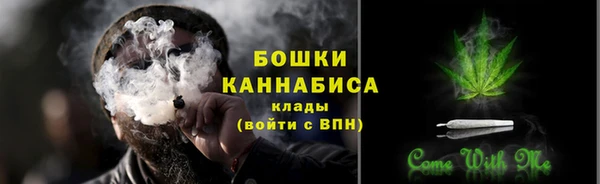 метадон Гусев
