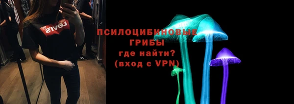 метадон Гусев