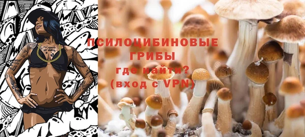 метадон Гусев