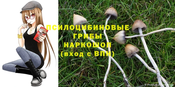 таблы Гусиноозёрск