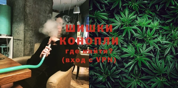 метадон Гусев